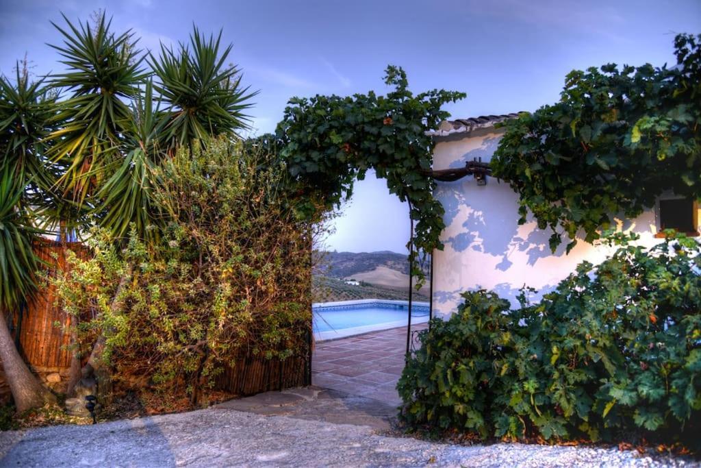Campanas Ii Bed & Breakfast